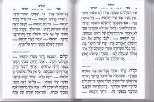 תהילים עבודת השם עם עיטור כתר, הבלטות מוזהבות בכריכה