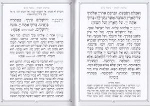מגילת אסתר דמוי עור כריכה רכה שמחונים