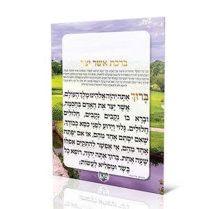 ברכת אשר יצר
