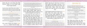 ברכת המזון כיס - דגם בת מצווה