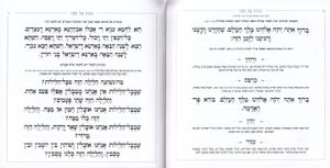 הגדה של פסח- דגם סורג (L)