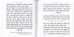 הגדה של פסח- דגם סורג (L)