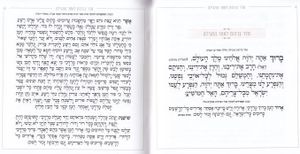 מגילת אסתר - דגם סורג (L)