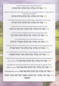 ברכון ברכות השחר איכותי