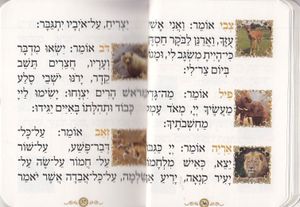 ספרון כיס פרק שירה- דגם נבל