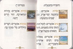 ספרון כיס פרק שירה- דגם נבל