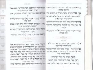 ברכון מיוחד עם תוכן עשיר- שיר ושבחה מדורג - דגם ירושלים בשני נוסחים חושן