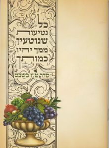 סדר ט"ו בשבט- דגם ברכי נפשי