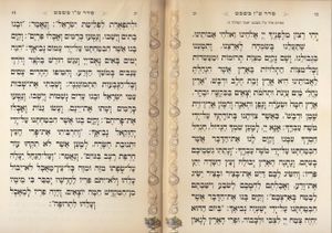 סדר ט"ו בשבט- דגם ברכי נפשי