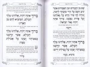 הגדה של פסח- הבלטות על הכריכה- פורמט בינוני (L)