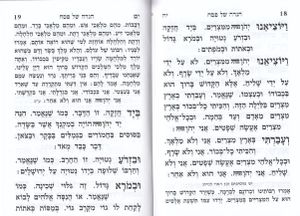 הגדה של פסח (L)- הבלטות מוזהבות בכריכה