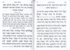 הגדה של פסח (L)- הבלטות מוזהבות בכריכה