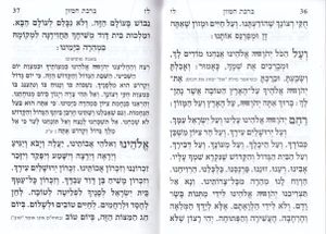 הגדה של פסח (L)- הבלטות מוזהבות בכריכה