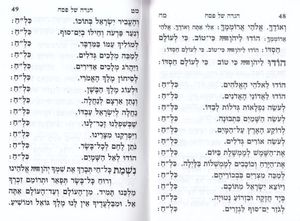 הגדה של פסח (L)- הבלטות מוזהבות בכריכה