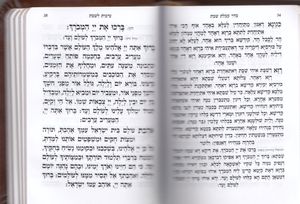 חומש תורת השם- דמוי עור כיס