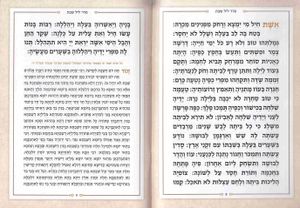 זמירות לשבת- דגם מעין עולם הבא