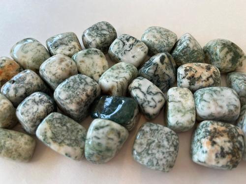 אגת עץ חלוק TREE AGATE