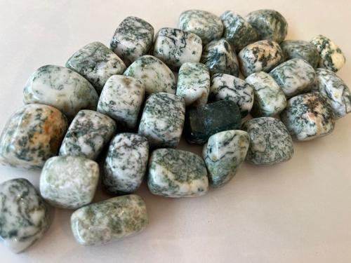 אגת עץ חלוק TREE AGATE