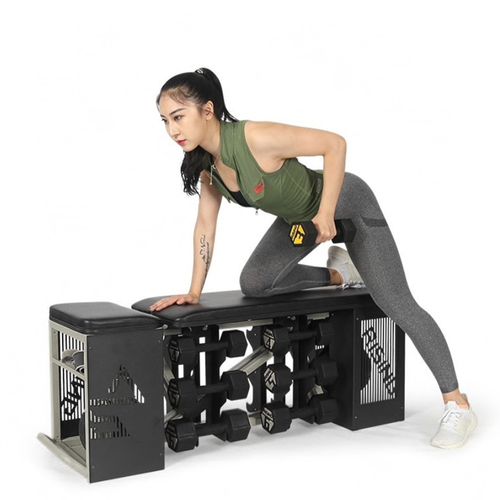 ספסל FIT BENCH לאימון ואיחסון ציוד כושר