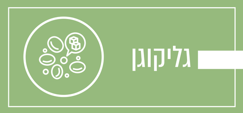 גליקוגן