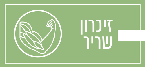 זיכרון שריר