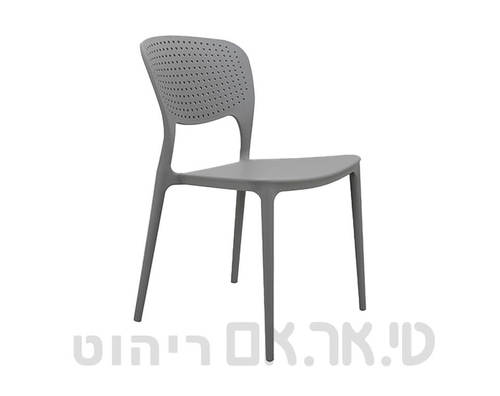 מולי אפור בהיר