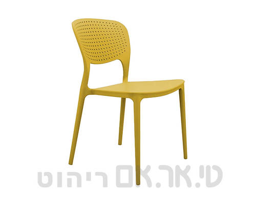 מולי צהוב
