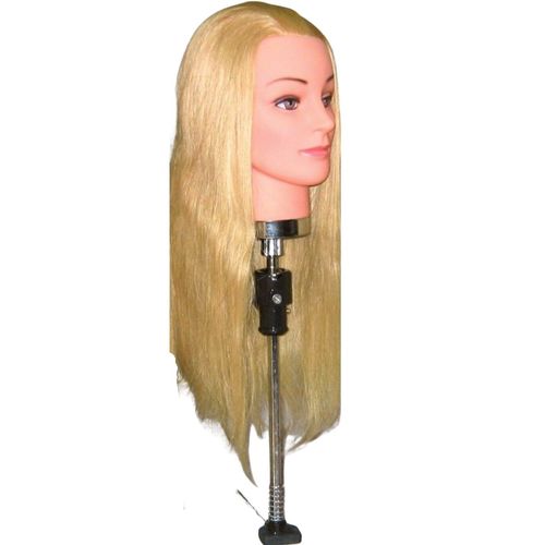 ראש אימון פרוטאין L