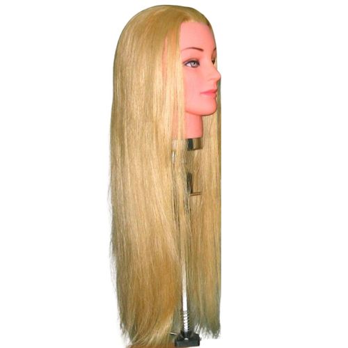 ראש אימון פרוטאין XL
