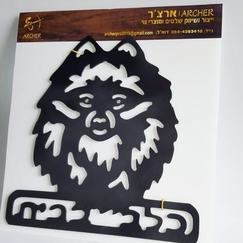 שלט 