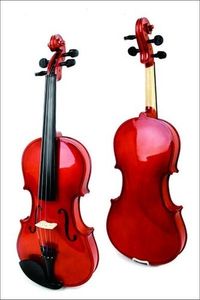 כינור 4/4 Paganini Student