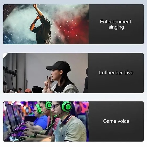 Magic Mic