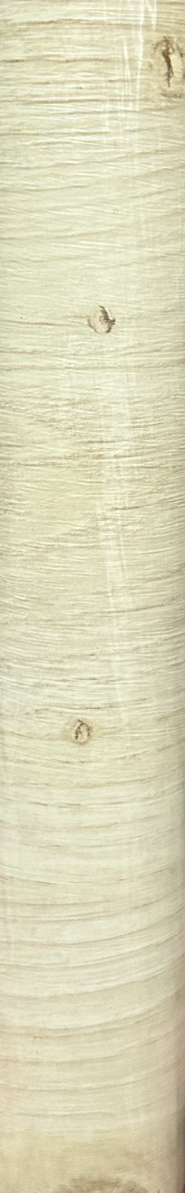 טפט מגע לדלת פלדלת 90 חום SCANDINAVIAN OAK