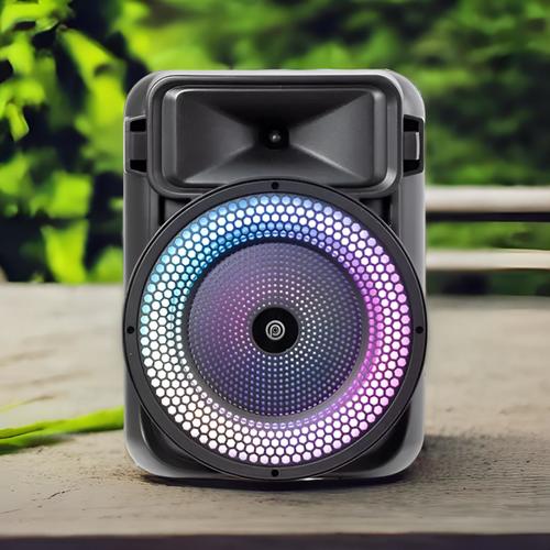 בידורית קריוקי ניידת 1100W דגם WOMB-108 מבית PURE ACOUSTICS