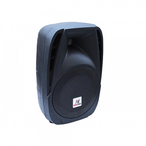 רמקול מוגבר 12