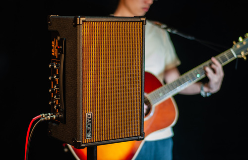  מגבר לגיטרה אקוסטית נטען 40 וואט עם אפקטים  JOYO AC-40
