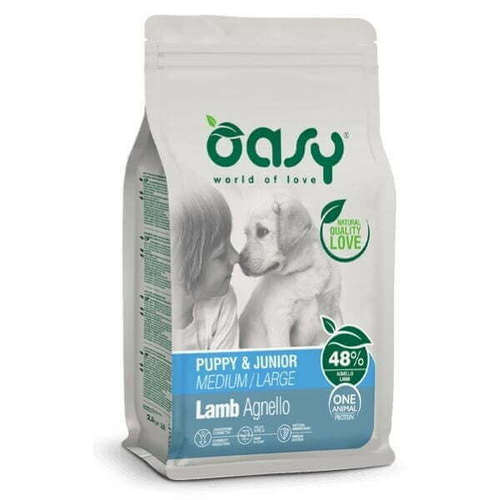 oasy אואסי – גור כבש 12 ק”ג