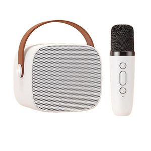 בידורית רמקול קריוקי + מיקרופון אלחוטי Portable Wireless Karaoke Speaker Kits NY41408 