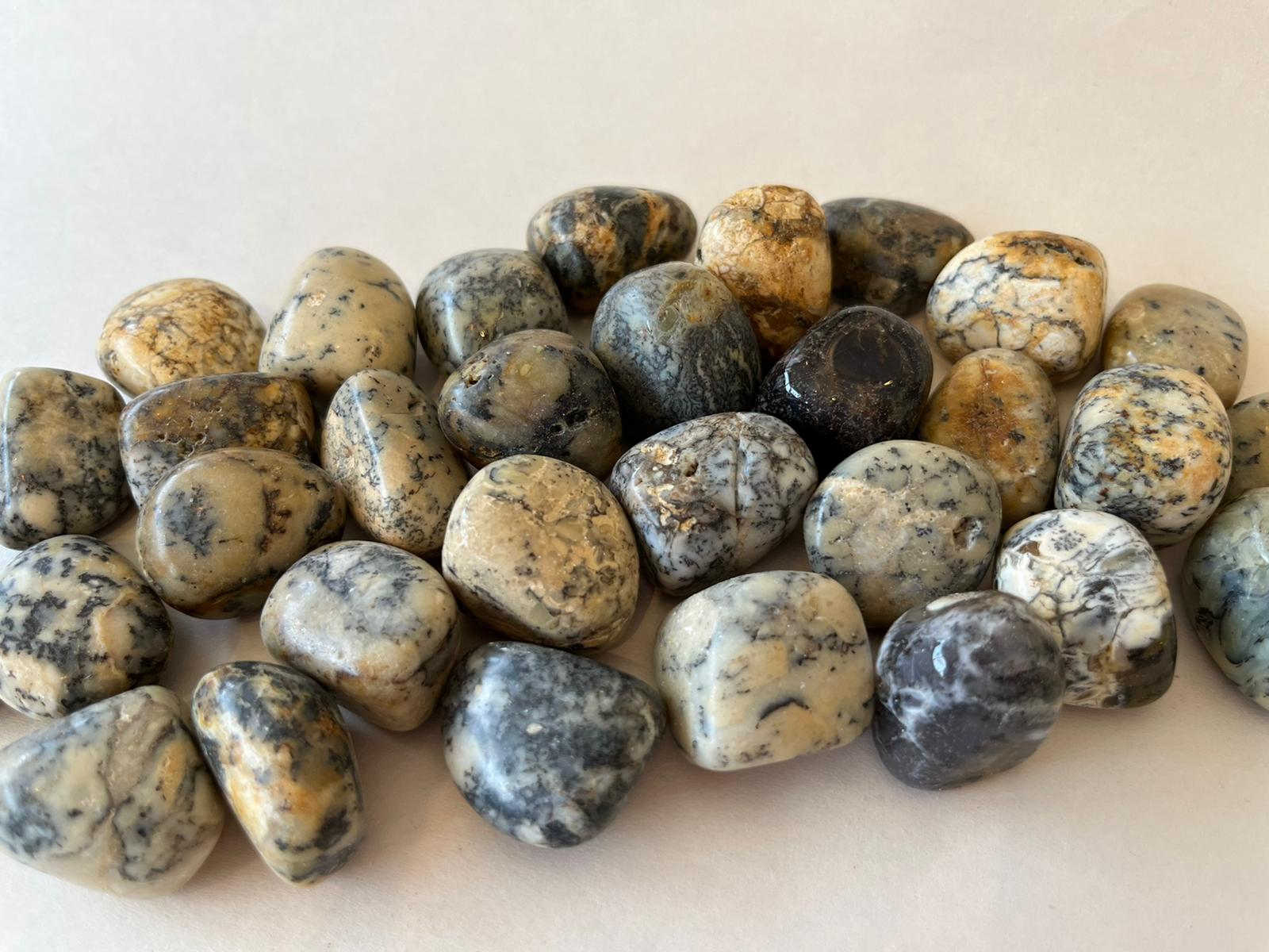 אגת דנדרייט חלוק AGATE DANDRITE