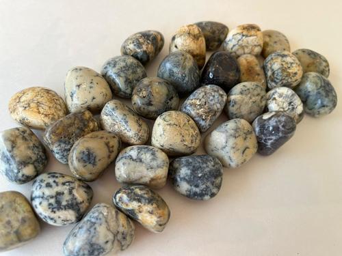 אגת דנדרייט חלוק AGATE DANDRITE