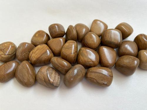 ג'ספר חום/אגוז מלך חלוק JASPER
