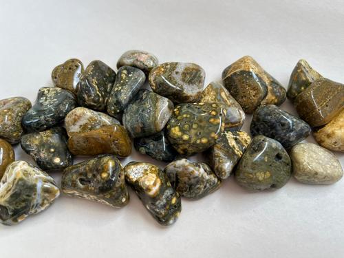 ג'ספר ים/אוקיינוס חלוק OCEAN JASPER