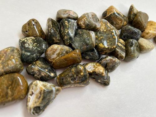 ג'ספר ים/אוקיינוס חלוק OCEAN JASPER