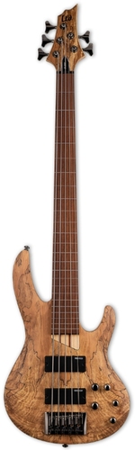 ESP LTD B-205SM FRETLESS