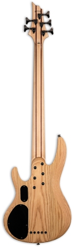 זוית נוספת ESP LTD B-205SM FRETLESS