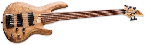זוית נוספת ESP LTD B-205SM FRETLESS