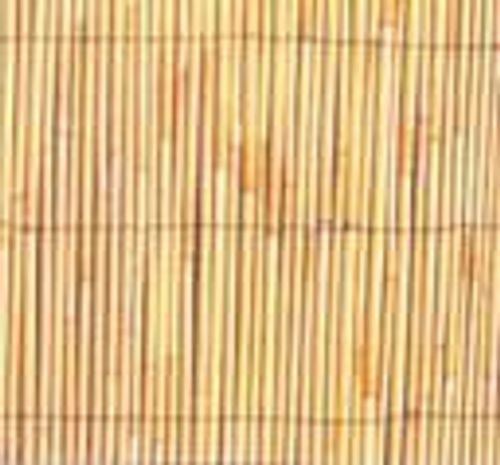 גדר קנה צהוב 1.5X5