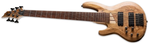 זוית נוספת ESP B-206SM LH