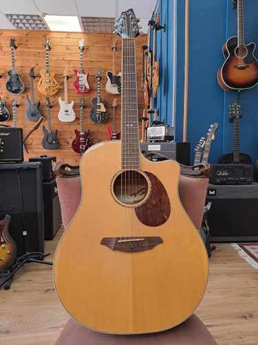 Breedlove Atlas D250