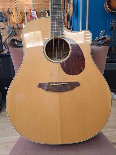 Breedlove Atlas D250